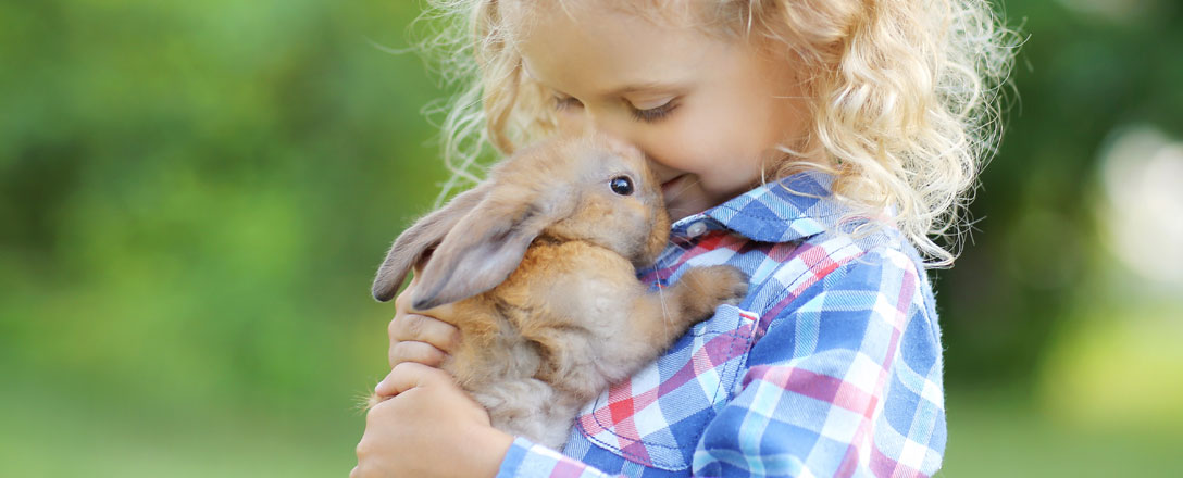 Kind kuschelt mit Haustier Zwerghase