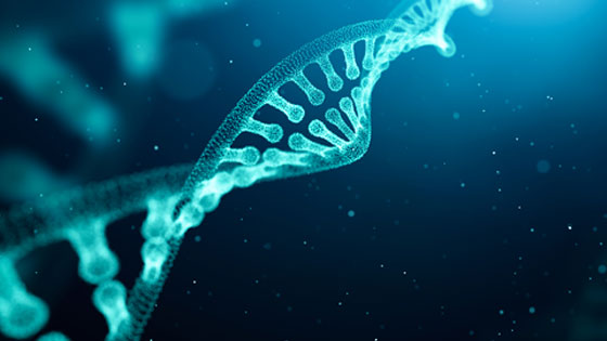 DNA-Strang