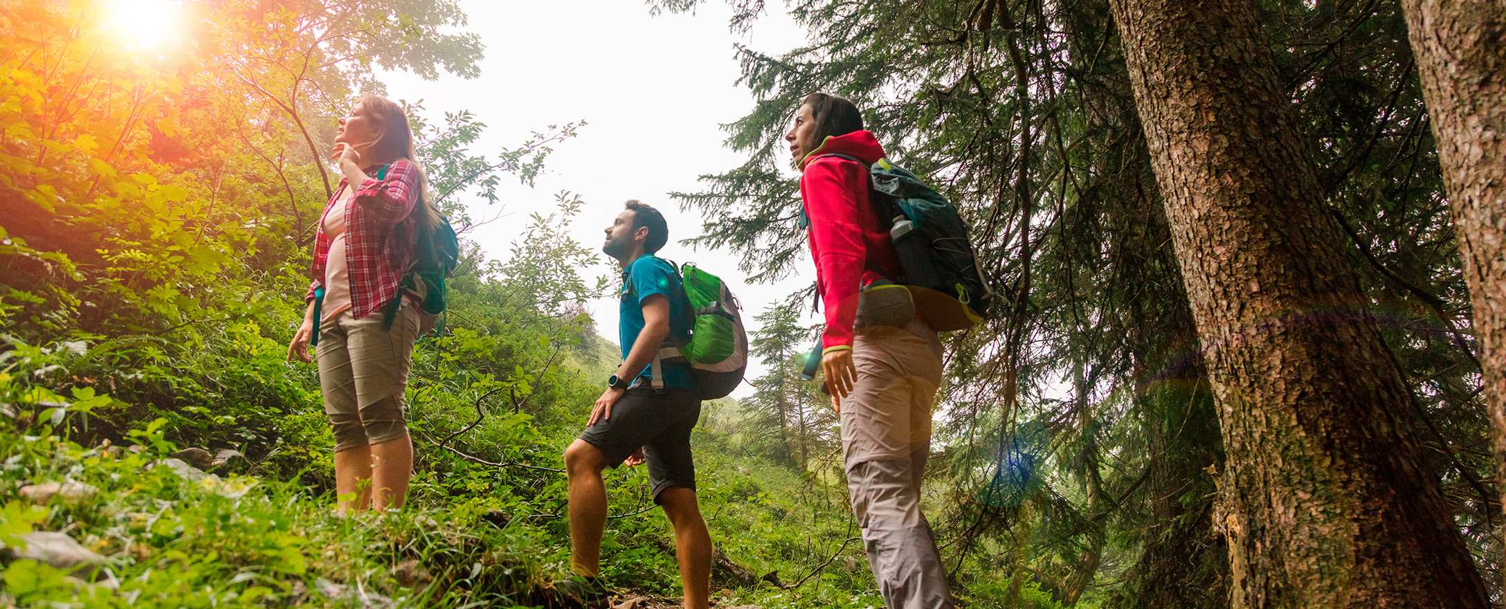 Gruppe von Wanderern, die in den Bergen wandern.