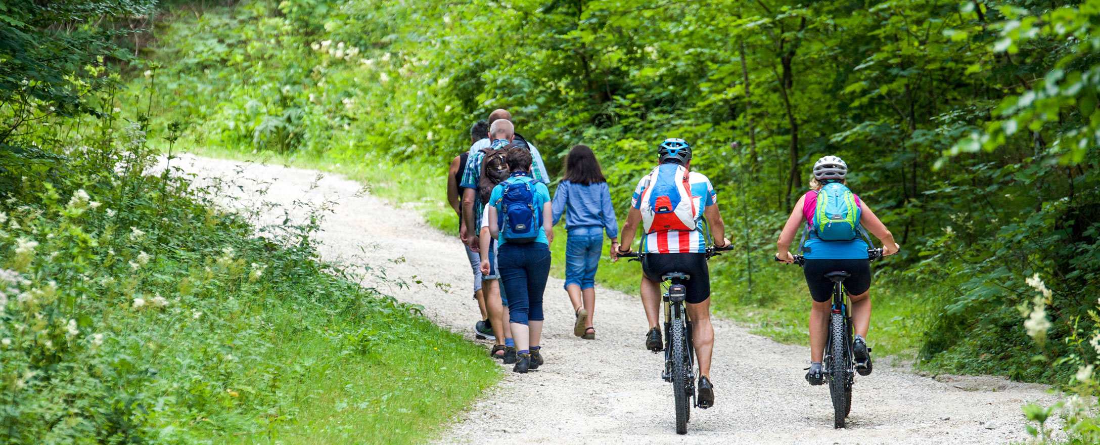 mountainbiker auf forststrasse